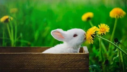 周杰伦出道25周年：音乐传奇，青春回忆，再创辉煌